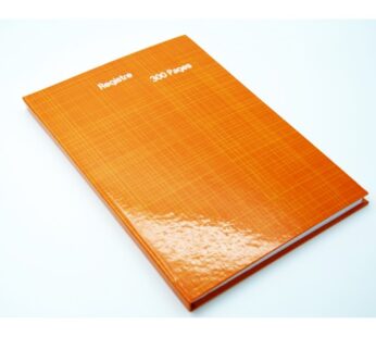 REGISTRE 300 PAGED A4